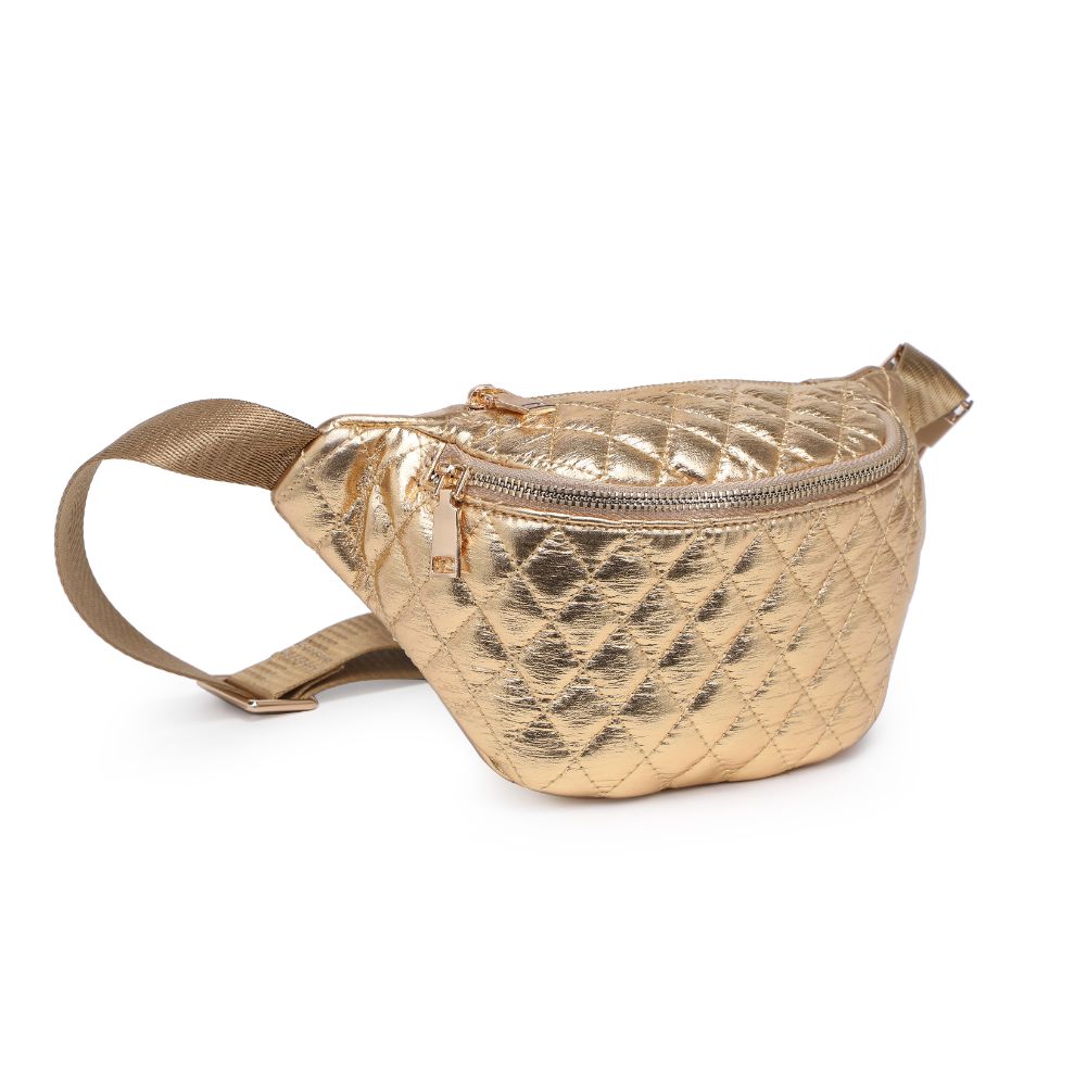 Product Image of Moda Luxe Ariana Belt Bag 842017133810 View 6 | Gold